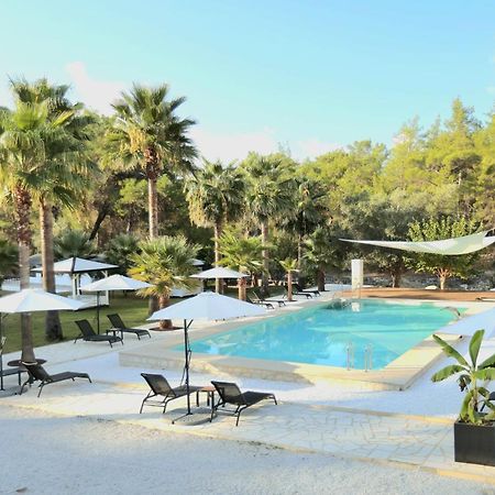 Nomad Lodge Olympos Adults Only Εξωτερικό φωτογραφία