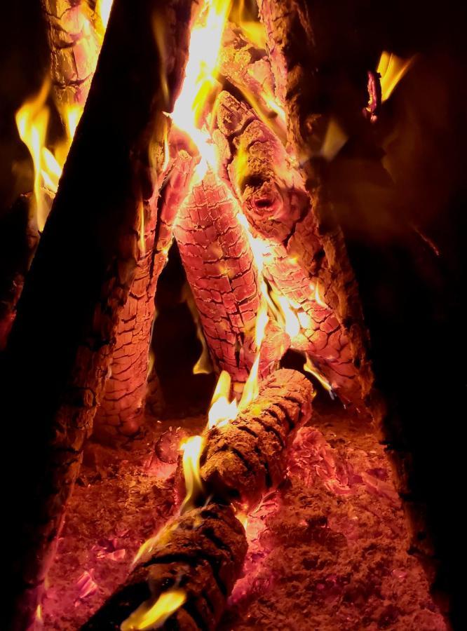 Nomad Lodge Olympos Adults Only Εξωτερικό φωτογραφία