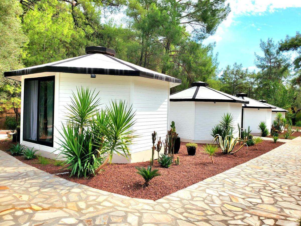 Nomad Lodge Olympos Adults Only Εξωτερικό φωτογραφία